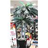 Image 1 : 5 FT PALM TREE