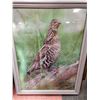 Image 1 : 18 X 24 FRAMED PHEASANT PICTURE
