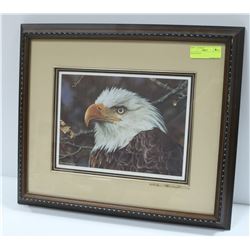 BALD EAGLE