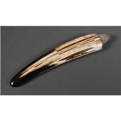 Fossil Walrus Ivory Tusk