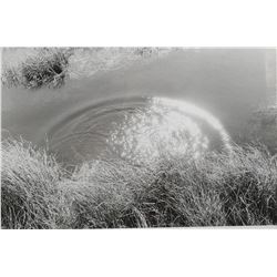 PETER de LORY—Bog Light Photograph—1976