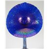 Image 2 : CORREIA Jack in the Pulpit Pulled Feather Vase