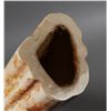 Image 3 : Fossil Walrus Ivory Tusk