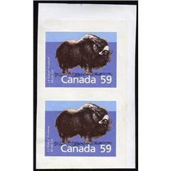 #1174b XF-NH IMPERF PAIR MUSK OX *SCARC