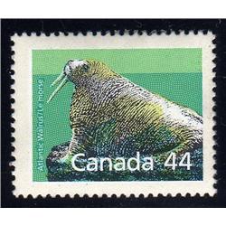 #1171c XF-NH RARE PERF CHANGE (SP, PERF