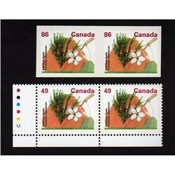 #1364var XF-NH IMPERF PAIR *DENOMINATIO