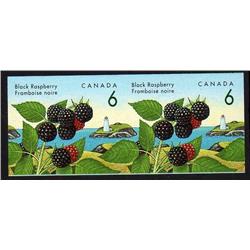 CANADA #1353iii XF-NH IMPERF SCARCE PAIR BLACK RASPBERR