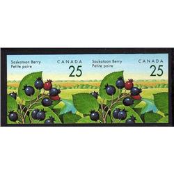 CANADA #1355iv XF-NH IMPERF SCARCE PAIR SASKATOON BERRY