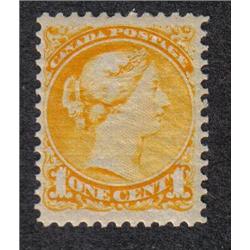 #35 XF-NH SMALL QUEEN WITH CERTIFICATIO