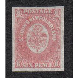 NEWFOUNDLAND #20 IMPERF XF-NH