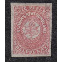 NEWFOUNDLAND #21 IMPERF XF-LH
