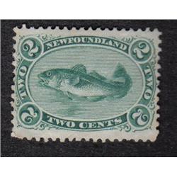 NEWFOUNDLAND #24 XF-NH RARE