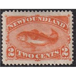 NEWFOUNDLAND #48 XF-LH 
