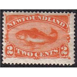 NEWFOUNDLAND #48b F-VF-NH  