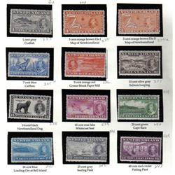 NEWFOUNDLAND #233 to 243 VF-NH-LH SET 