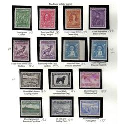NEWFOUNDLAND #183 to 198 VF-NH-LH SET 