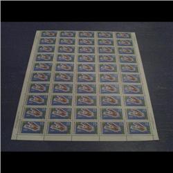 #494i XF-NH FULL SHEET 50 *FLUO PAPER* 