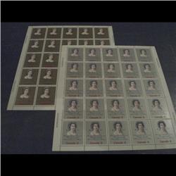 #620ii fluo -621i BRONZE XF-NH FULL SHE