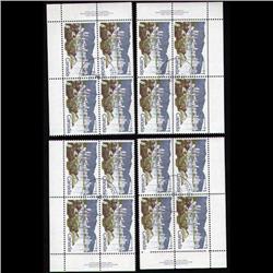 #600 XF-SON CDS USED MATCH SET ECV$140,00++++