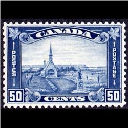 #176 XF-NH PERFECTION