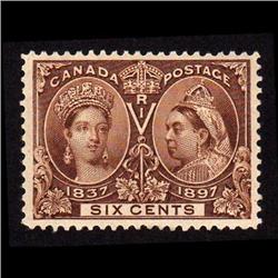 #55 XF LH JUBILEE *YELLOW BROWN COLOR S