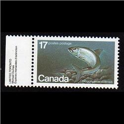 #853var FISH HOOK & LINE + DOUBLE PRINT