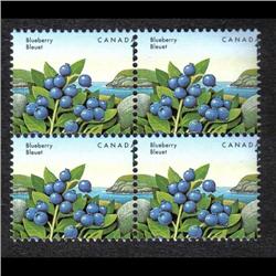 #1349var XF-NH BLOCK 4 *MISSING ONE VAR