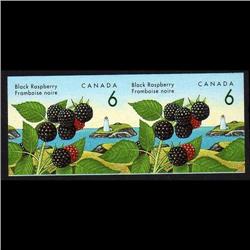 CANADA #1353iii XF-NH IMPERF SCARCE PAIR BLACK RASPBERR