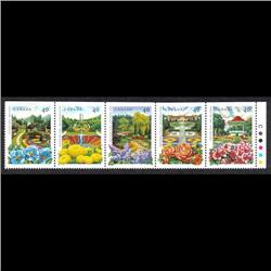 #1313var GREEN DOT AFTER MONTREAL VARIETY -COMPETE STRIP