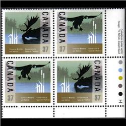 #1204-25var *LOG IN WATER VARIETY ERROR*