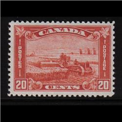 #175 XF-NH SELECT GEM