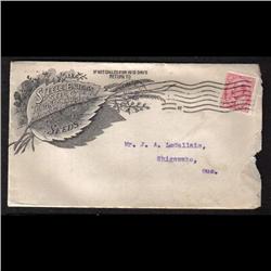 #90 PUBLICITY COVER(STEELE BRIGGS SEEDS