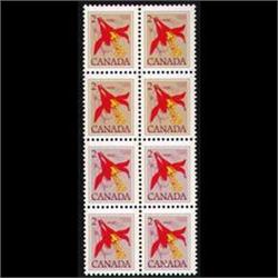 #707var XF-NH ROSE COLOR CHANGE VARIETY