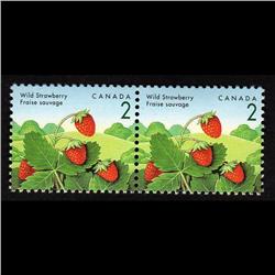 #1350v XF-NH PAIR *ROSE THORN FLAW VARI
