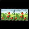 Image 1 : #1350v XF-NH PAIR *ROSE THORN FLAW VARI