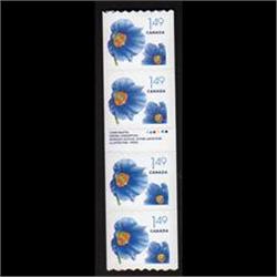 #2131ii-var XF-NH COIL STRIP 4 WITH GUT