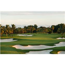 Golf at the Trump National Doral, Miami