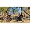 Image 2 : Turkey Hunt on the Pecos River Ranch, New Mexico