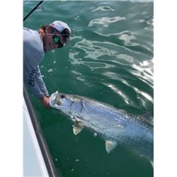 Tarpin Fishing Trip in Bradenton, Florida