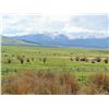 Image 2 : 5-Day Montana Elk and Whitetail Deer Bow Hunt