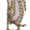 Image 2 : Tulip Fever Mrs. Overvalt (Joanna Scanlan) Rings and Chain Belt Movie Props