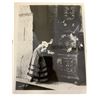 Image 3 : Lot of Monster Movie Photos