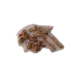 The Last Witch Hunter Hero Plant Bones Movie Props