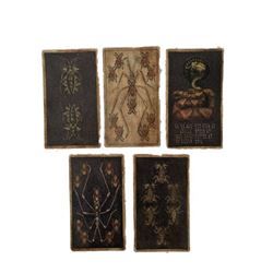 The Last Witchunter Witch Council Tarot Cards Movie Props