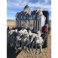 3 day/3 night - West Texas Crane Hunt for 2 Hunters