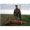 Image 1 : 7 day (3 hunt, 2 tourism, 2 travel) for 1 Serbian Roe Deer (up to 350gr) Experience for 1 Hunter