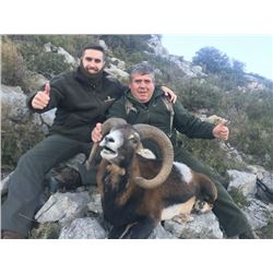4 day/3 night Iberian Mouflon Sheep Hunt in Castellon, Spain for 1 Hunter and 1 Non-Hunter