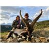 Image 1 : 4 day/3 night Beceite Ibex Hunt in Castellon, Spain for 1 Hunter and 1 Non-Hunter