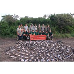 4 day - Cordoba Argentina Unlimited Dove Hunt for 2 hunters