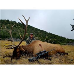 5 day - New Mexico Elk and Black Bear Combo Hunt for 2 hunters - Muzzleloader or Rifle